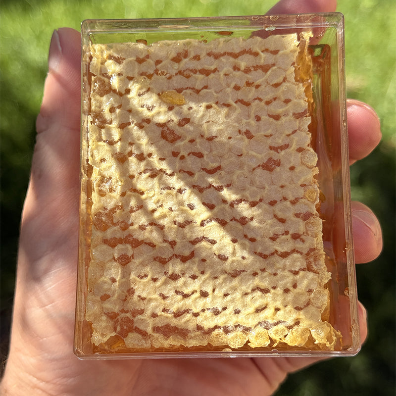 Miele in Favo Naturale Millefiori Bio