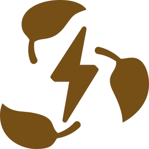 ENERGETICO