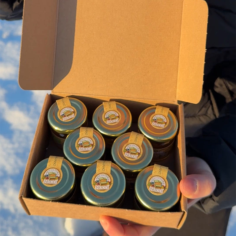 Box Degustazione 8 mielini da 40gr ognuno